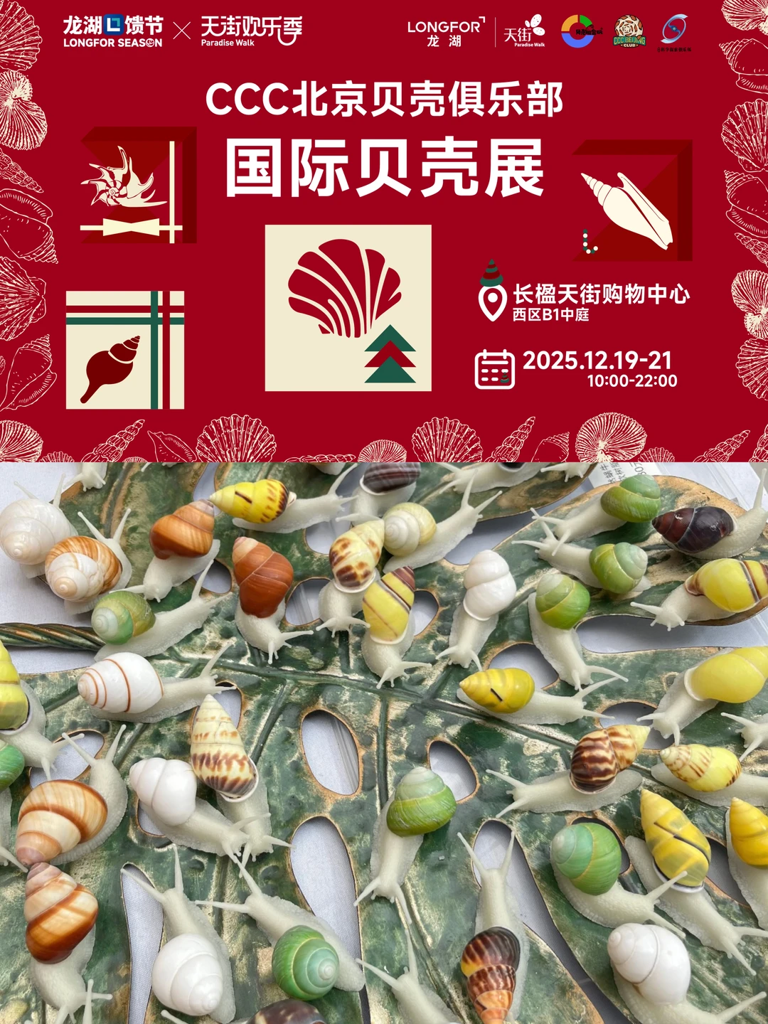 CCC北京贝壳俱乐部·国际贝壳展 12月19-21日