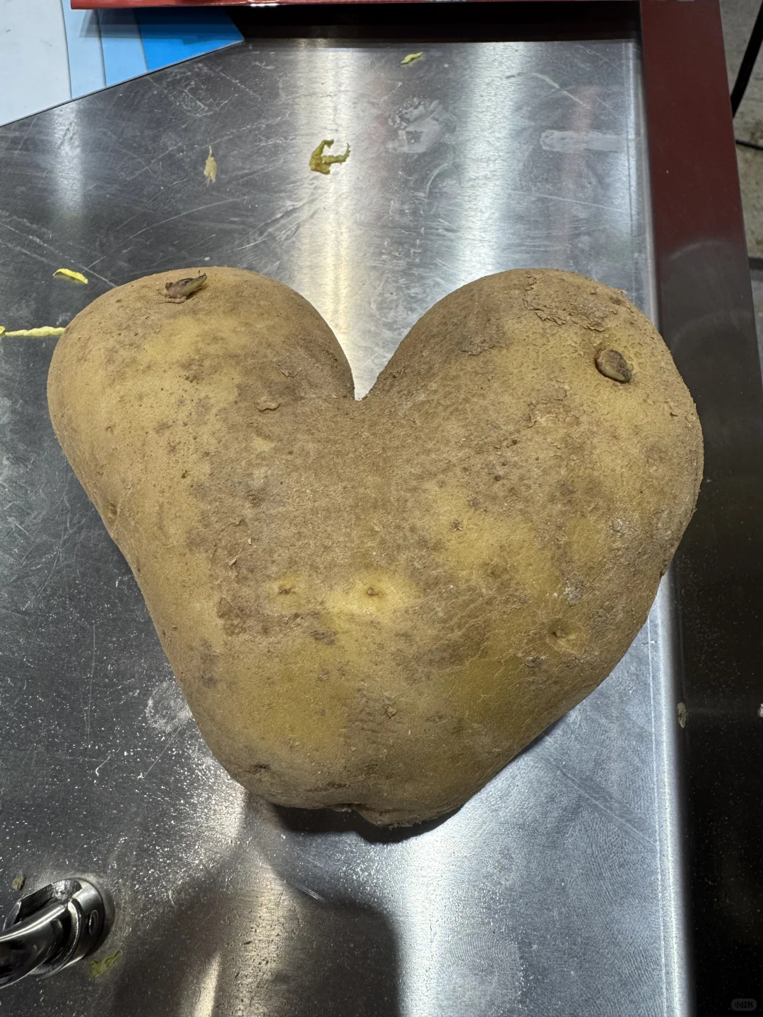 在酒店展做翻译可以吃到好多东西～