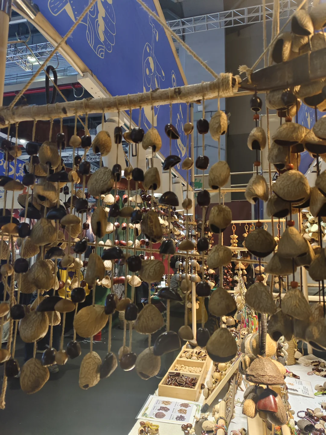 2025进博会，我们来啦！