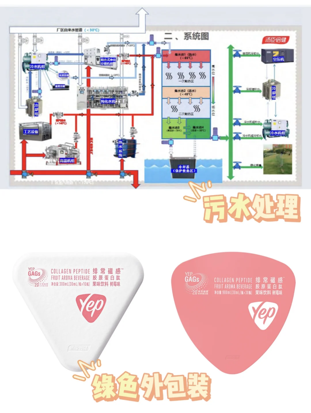 走进汤臣倍健透明工厂，探寻绿色先进密码