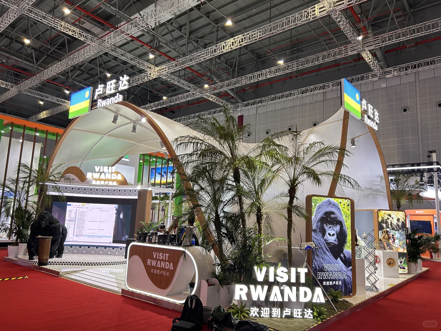 ?2025进博会必看展馆TOP清单