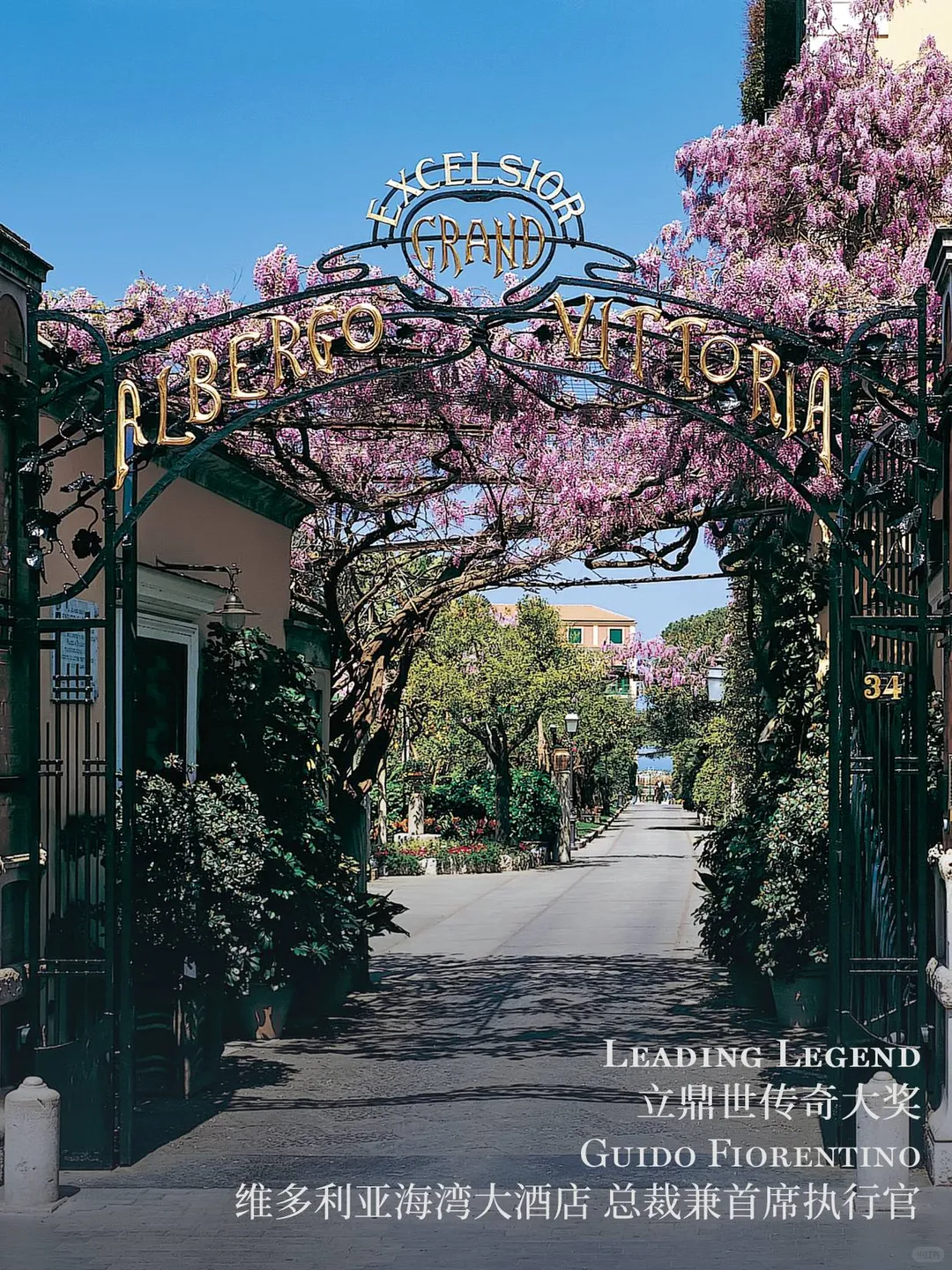 2025立鼎世盛会，年度成员大奖花落谁家？