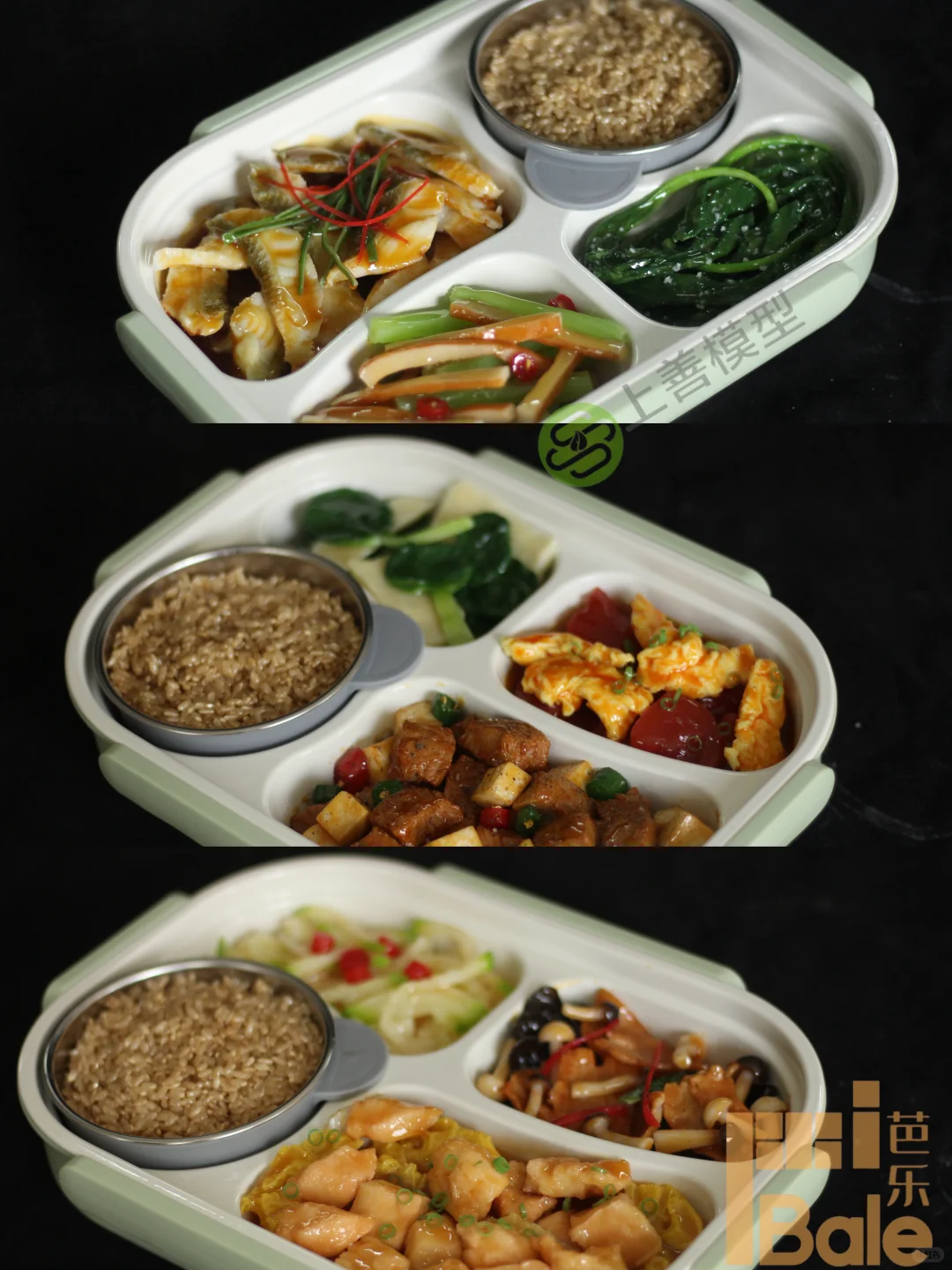 2025进博会 光明学生餐 康养餐模型