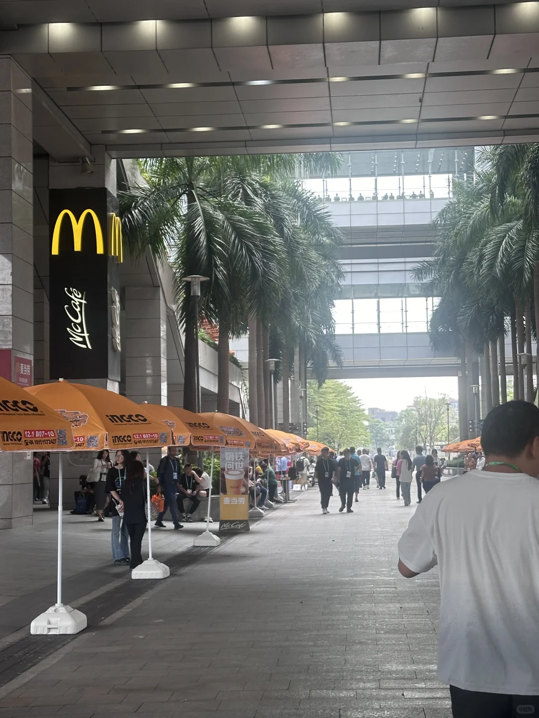 带着散装英语勇闯广交会！