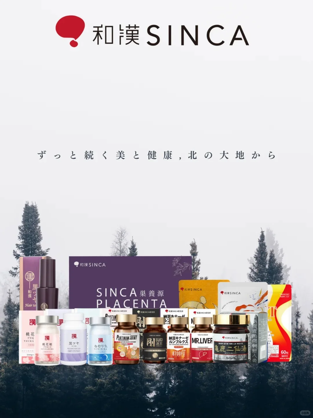 再度亮相第八届中国国际进口博览会