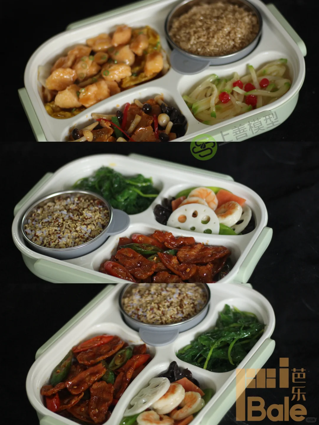 2025进博会 光明学生餐 康养餐模型