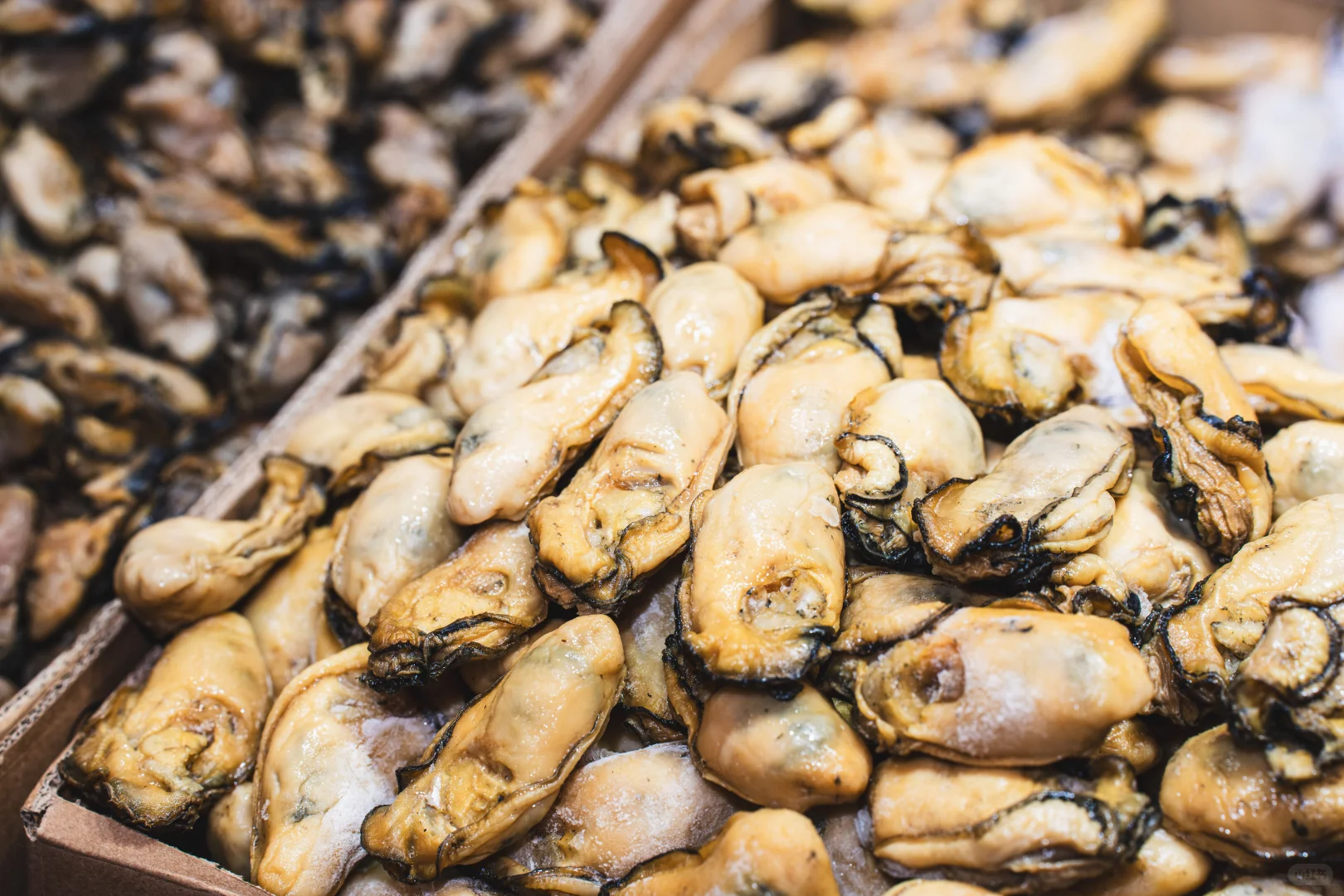 圣诞好去处！第23届香港冬日美食节