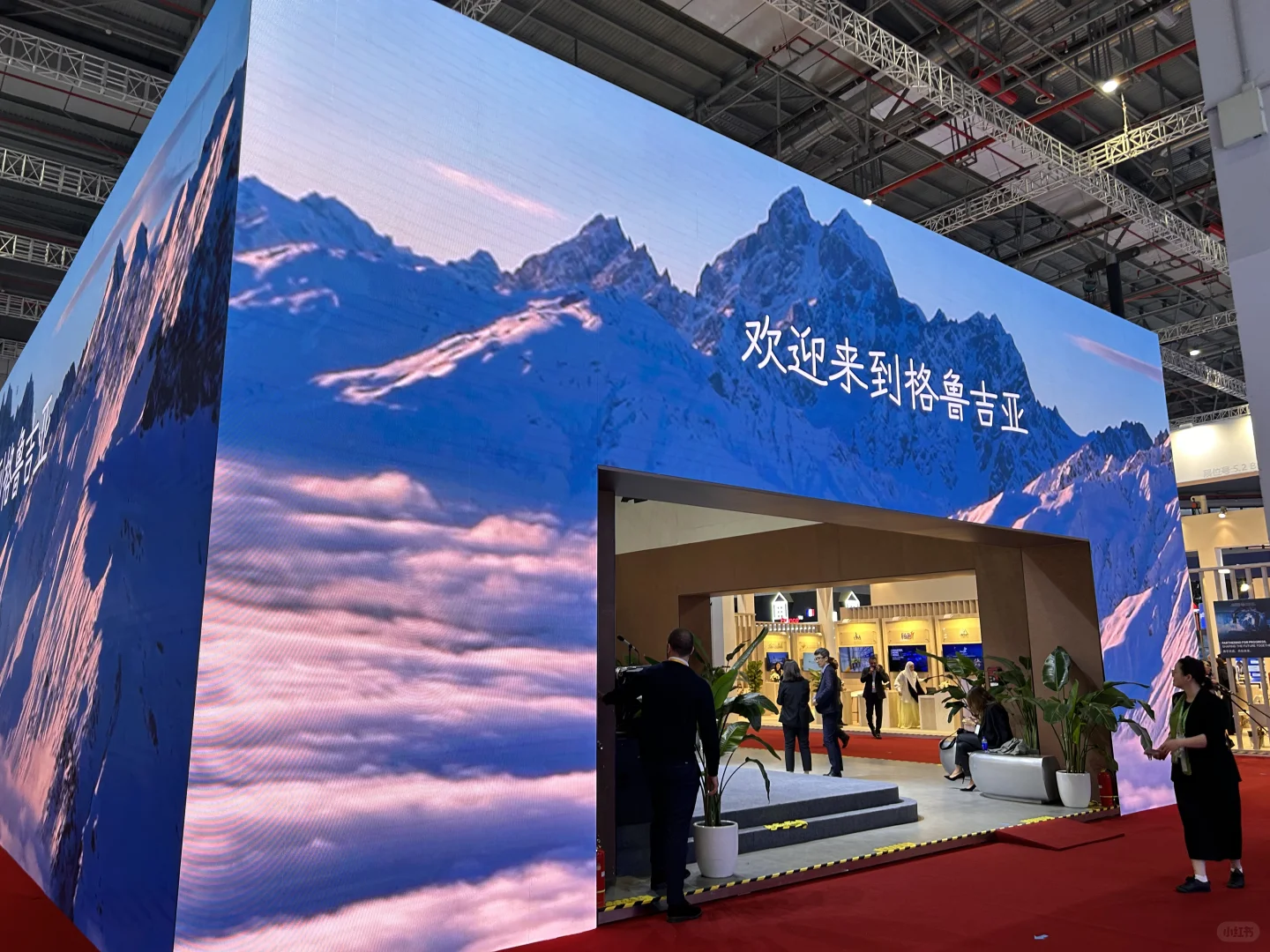 ?2025进博会必看展馆TOP清单