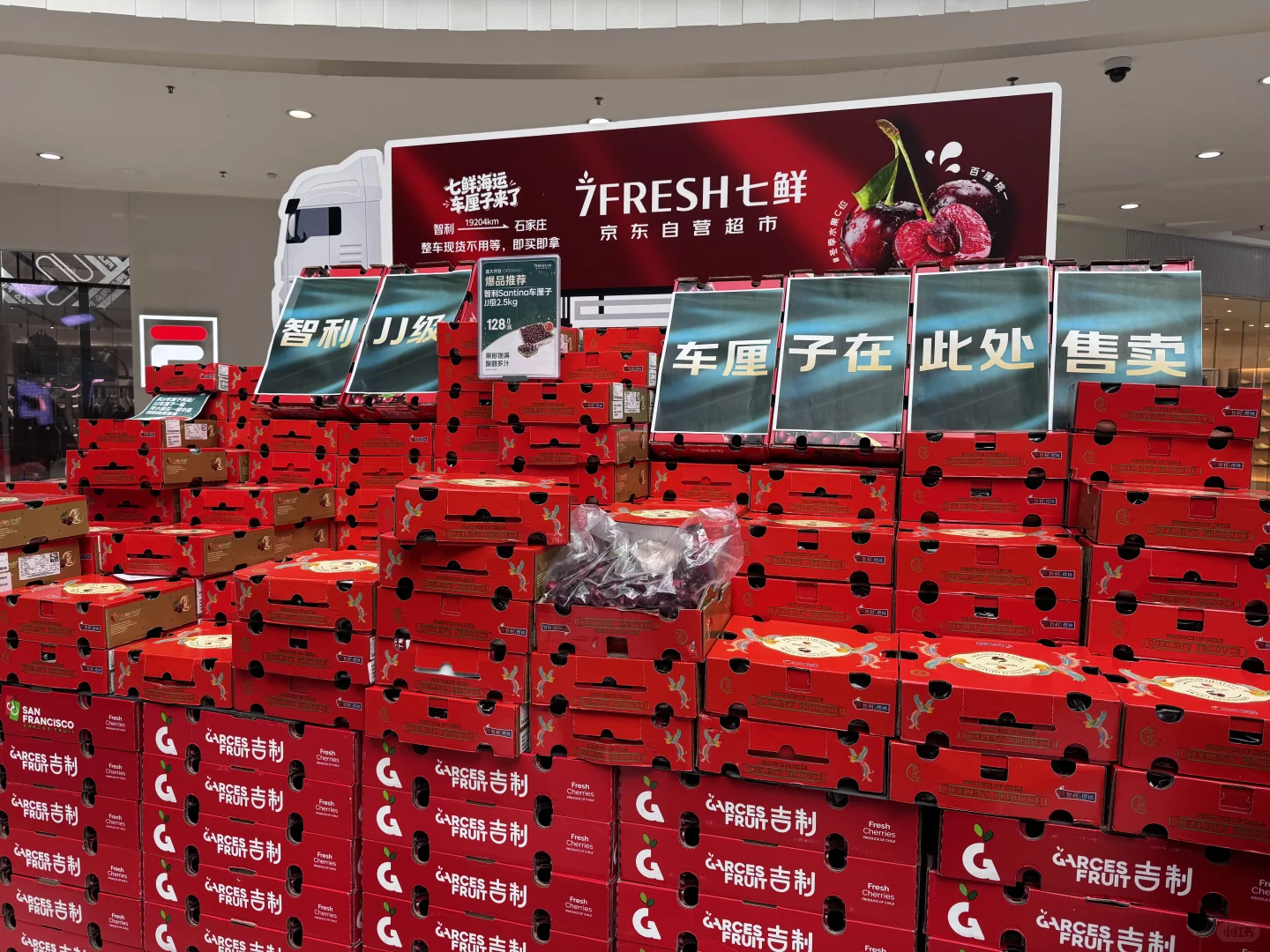 石家庄七鲜超市终于开业了