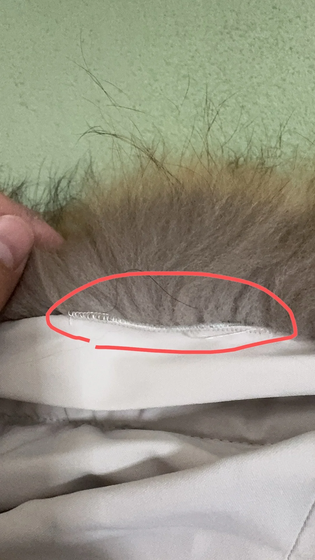 【避雷警示】拼多多“骆驼CAMEL官方旗舰店”：缝