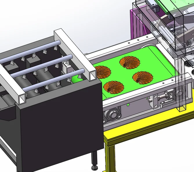 机械创新设计大赛-扇贝取肉清洗分拣一体机