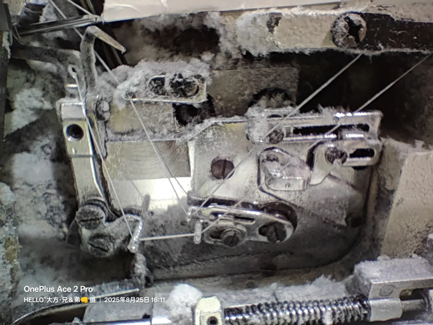 探秘制衣厂：背后的匠心与坚持 ?✨