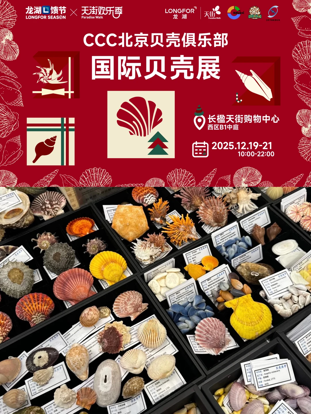 CCC北京贝壳俱乐部·国际贝壳展 12月19-21日