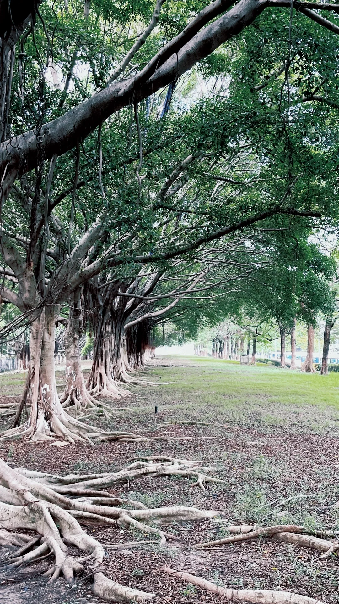 广交会展馆/建筑是城市文化重要组成部分