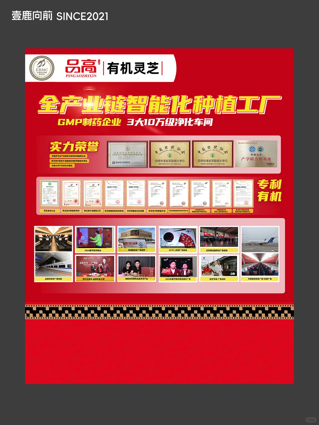 活动画面 I 燕窝产业年会 I 作品分享