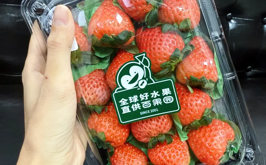 外贸Soho创业|外贸人创业以来的自我反省