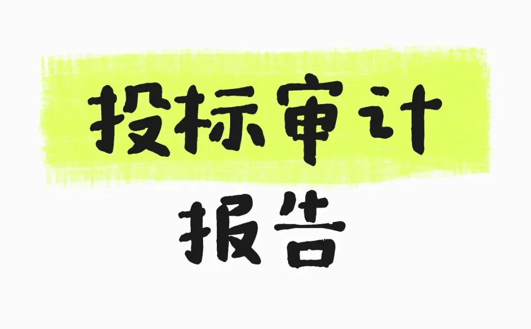 投标审计报告是什么？