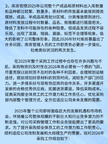 2025采购部年终成绩单
