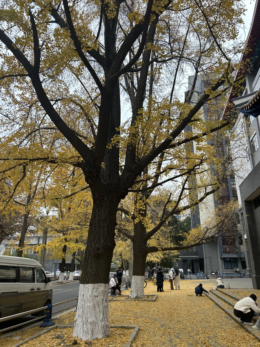 第一次参加设备招标，又长了见识