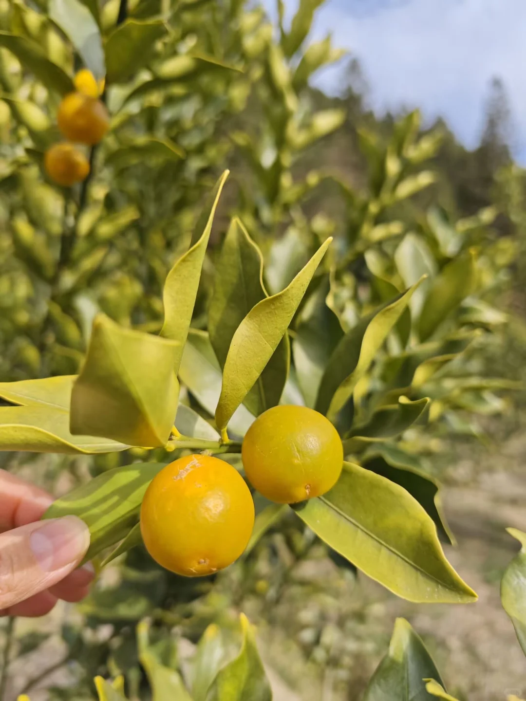 ?绝了！外贸新人秒get获客抄作业秘籍