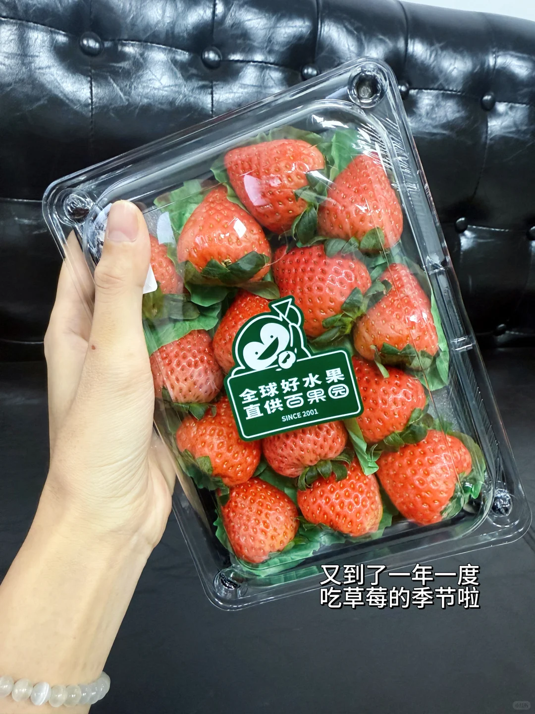 外贸Soho创业|外贸人创业以来的自我反省