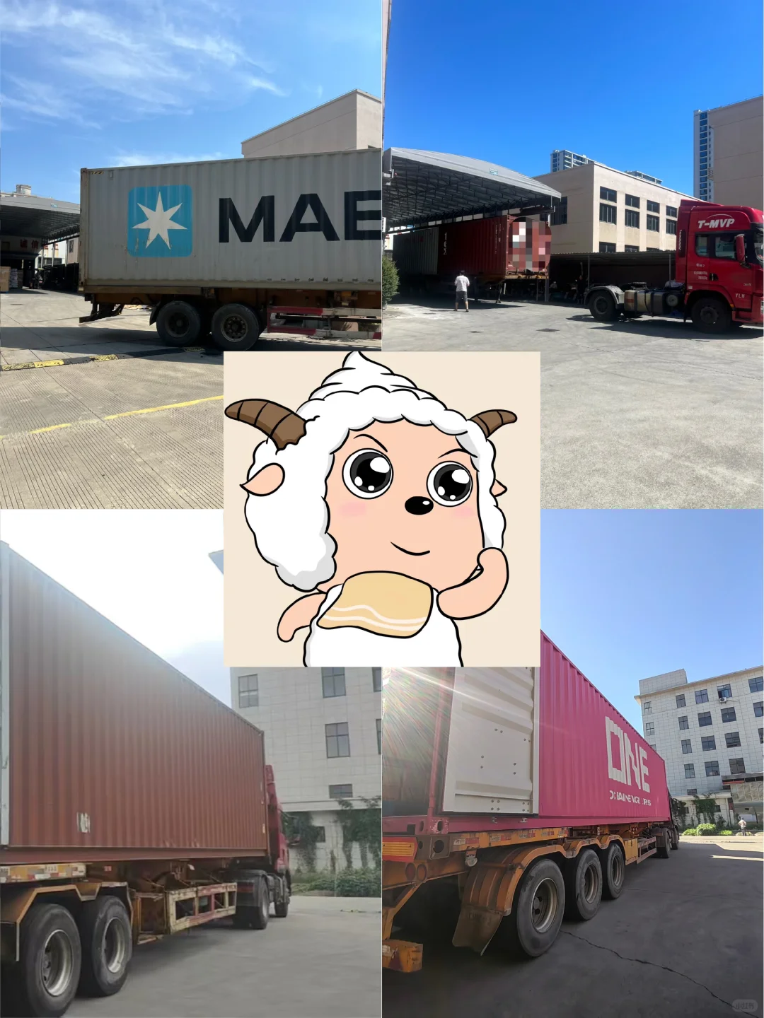 没靠自己，一周出了37条集装箱