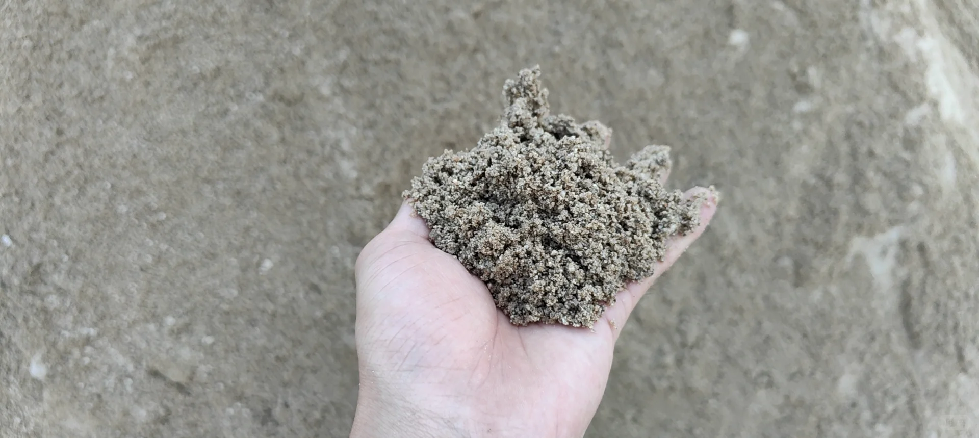 杭州建材批发 黄沙水泥瓷砖胶红砖