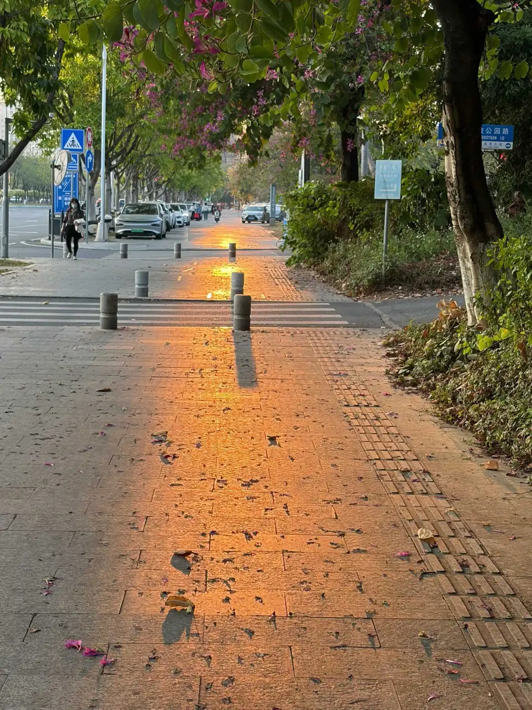 增江企业急招标书专员！