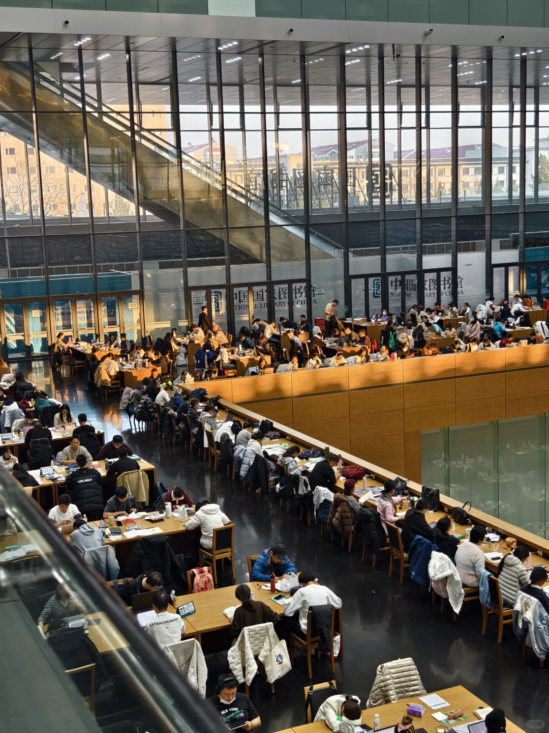 狗来了都得学两小时，亚洲最大的图书馆