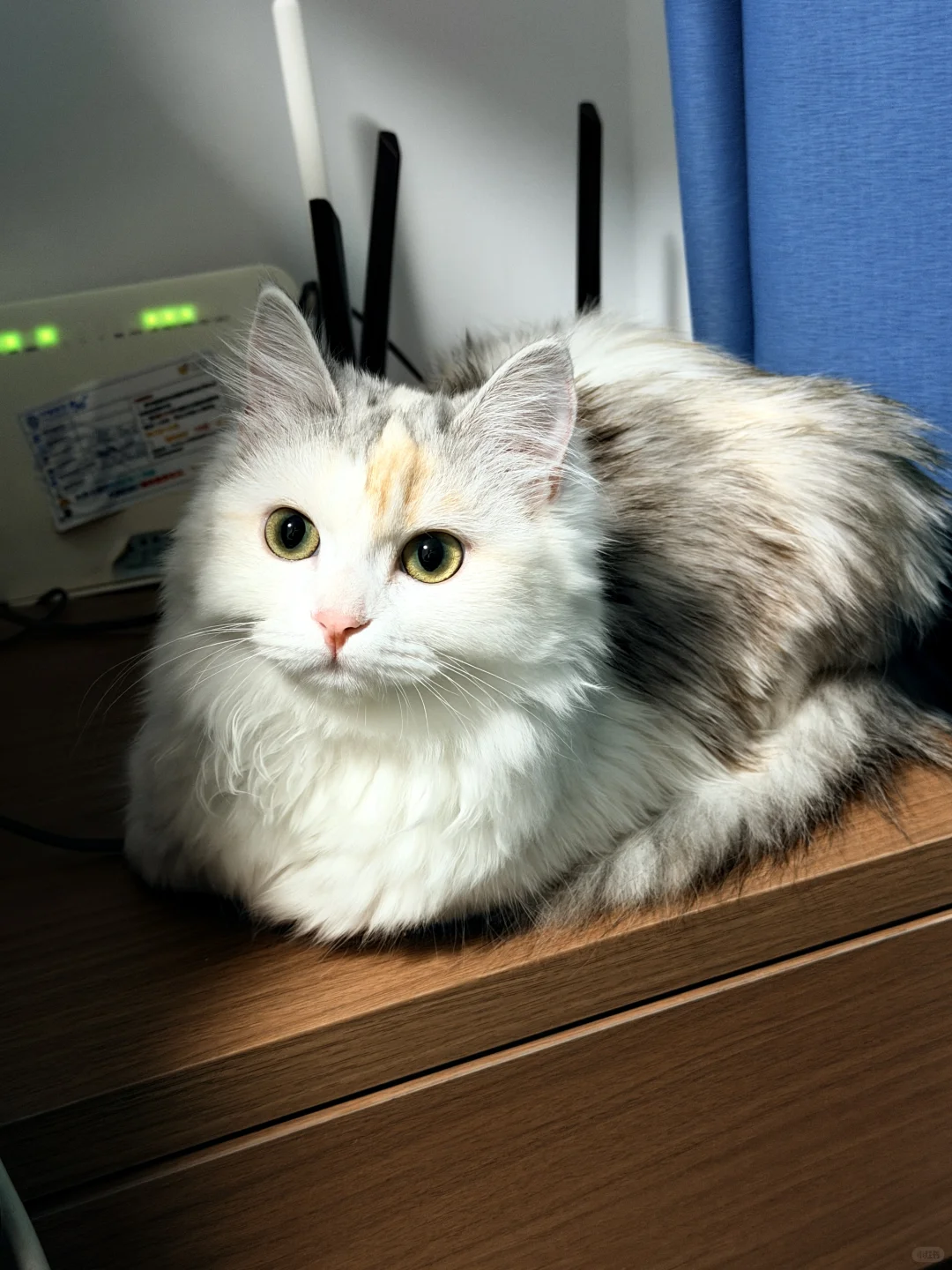 邯郸银三花相亲