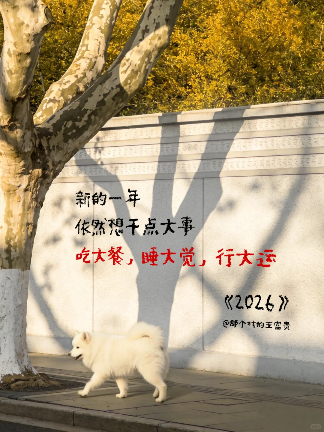 王富贵的新诗《2026的新年愿望》