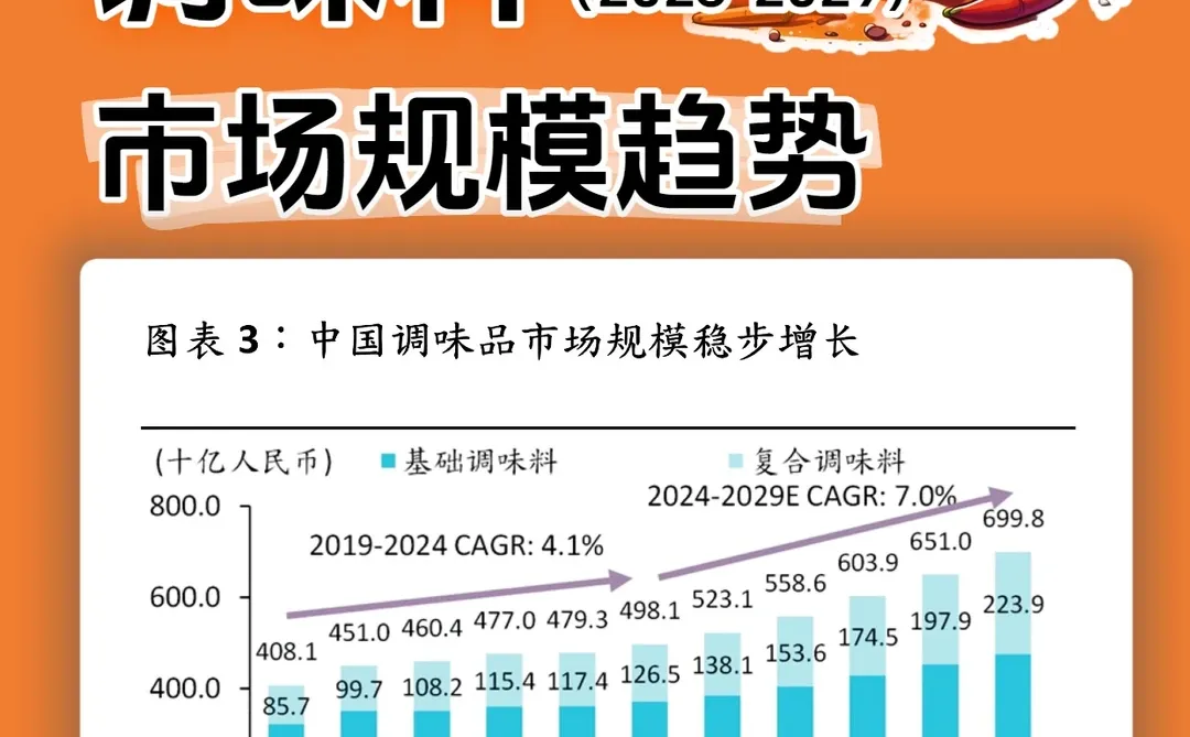 中国调味料市场趋势（2025-2029）