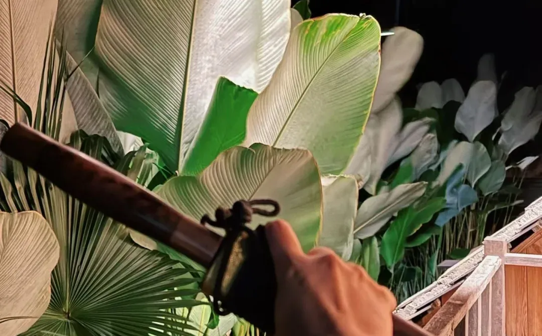 plog｜幸福寨屋 收获人生第一颗自种香蕉?