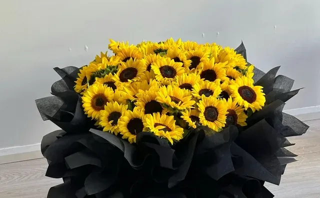 原来有些门槛 不是努力就能跨过的