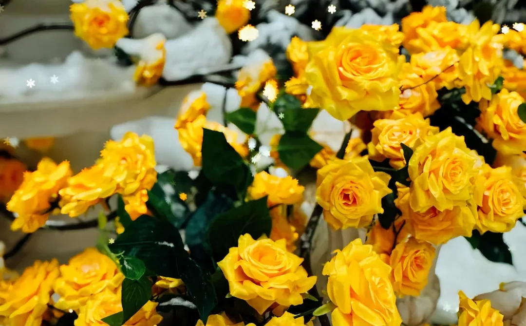 可能其实还是晚上更美丽[晚安R]哈尔滨 雪一落就美成了诗