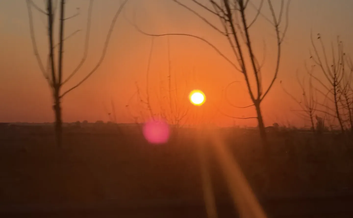 早起的噜会收获很长的一天