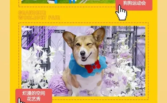 2025厦门宠物博览会免费送50张门票