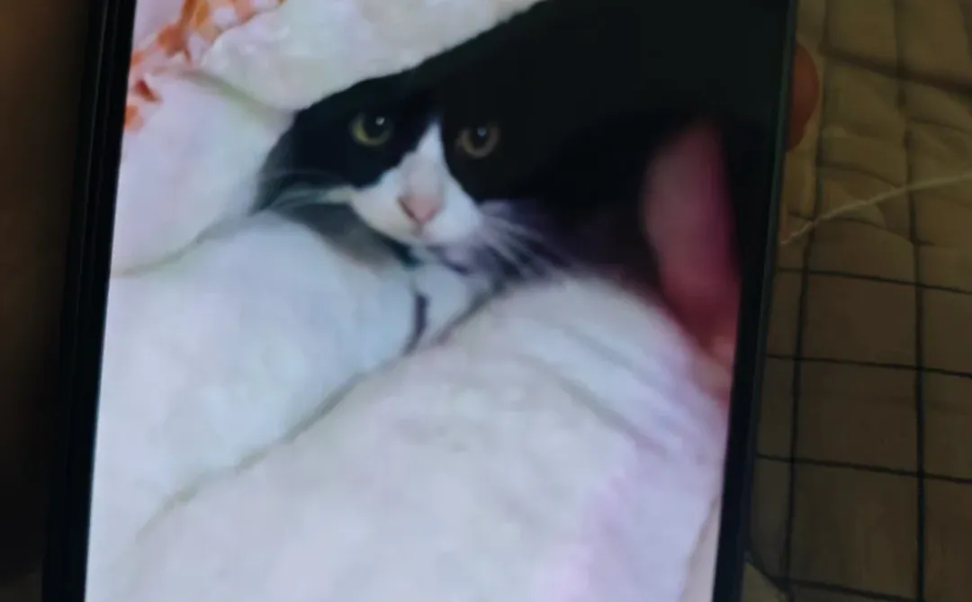 人，你还记得我吗？