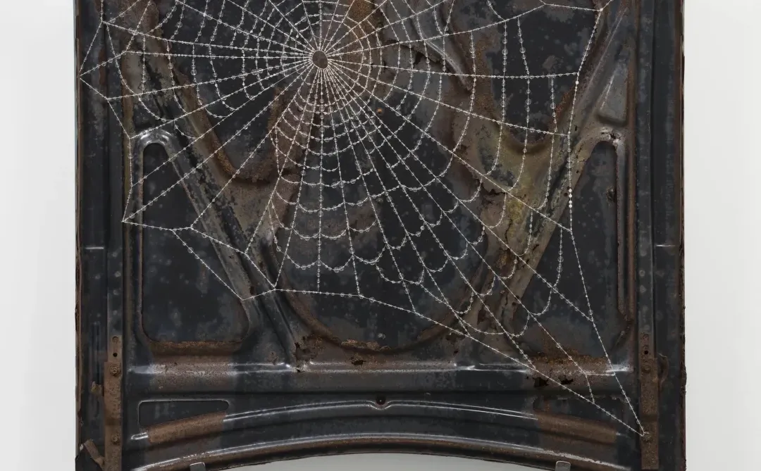 Kathleen Ryan：用宝石雕刻腐烂