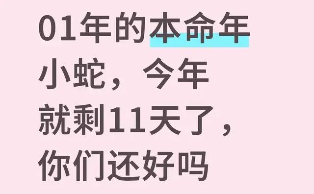 01年的本命年小蛇，今年就剩11天了，你们还好吗