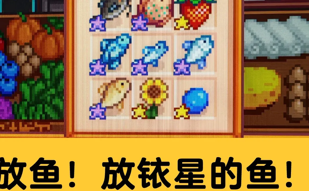 秋季展览高分秘诀！