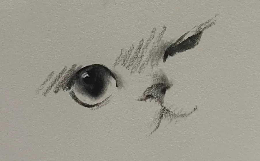 画到一半忍不住拍下来…