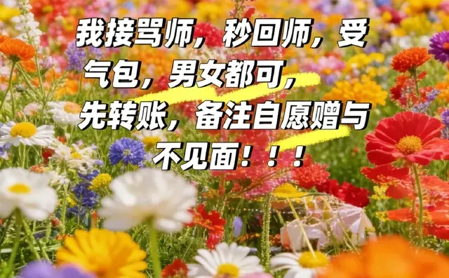 来报恩啦！我接骂师，秒回师