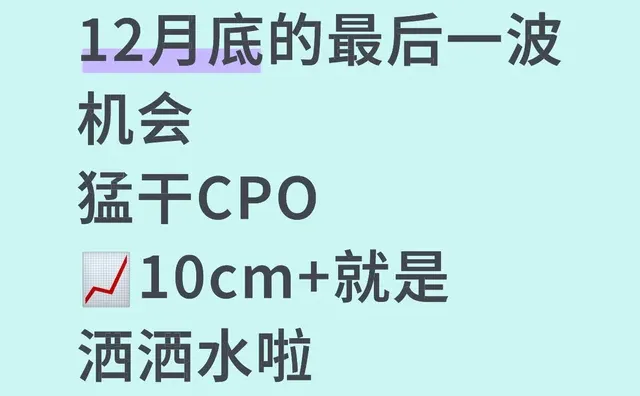 12月底的最后一波机会