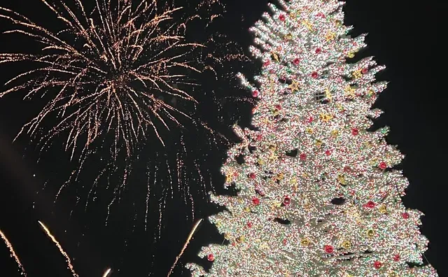 很喜欢这张照片