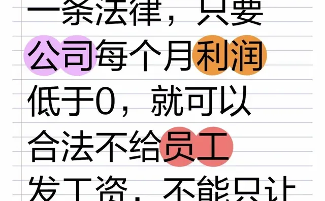 强烈建议出台这种一条法律，只要公司每个月利润低于0，就可以合法不给员工发工资，不