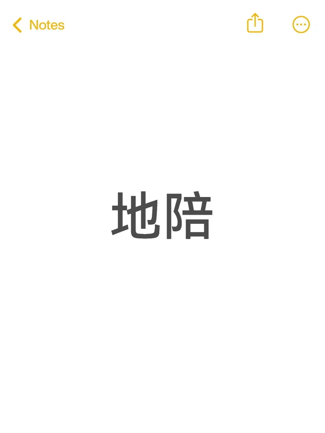 保定 陪玩！！我能做的：