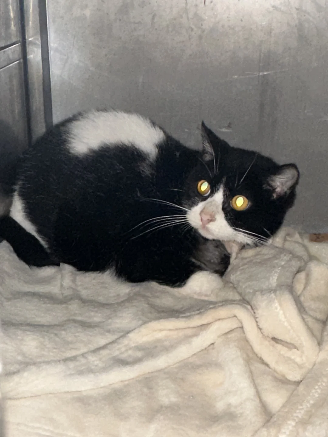 人，你还记得我吗？