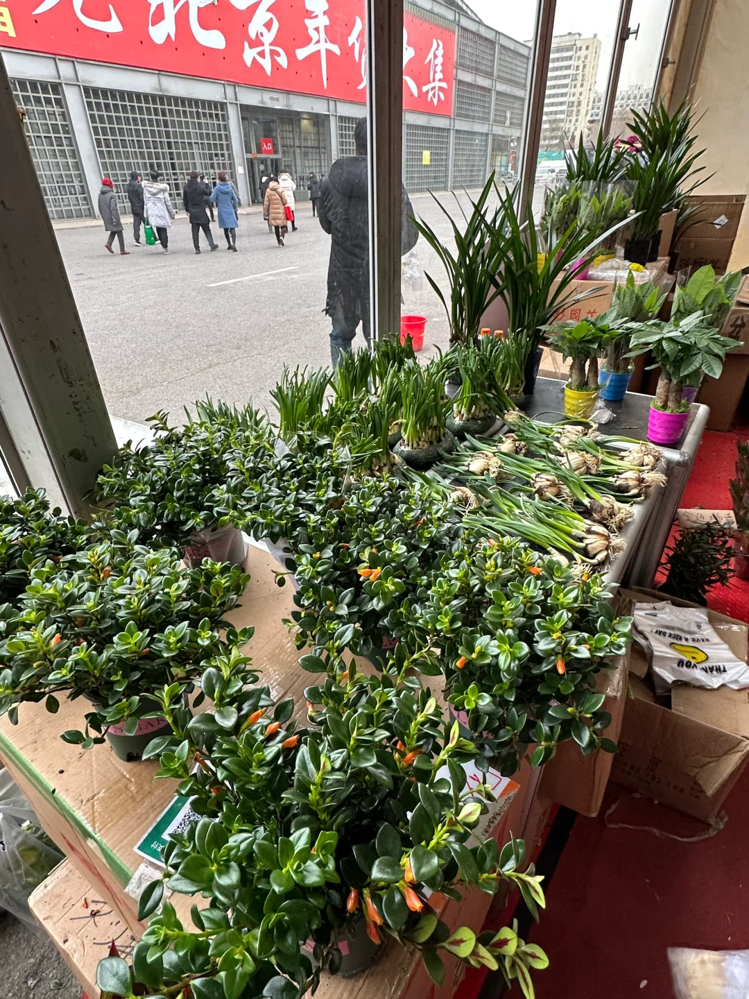 我靠我靠我靠！！！北京开了开了开了。。。