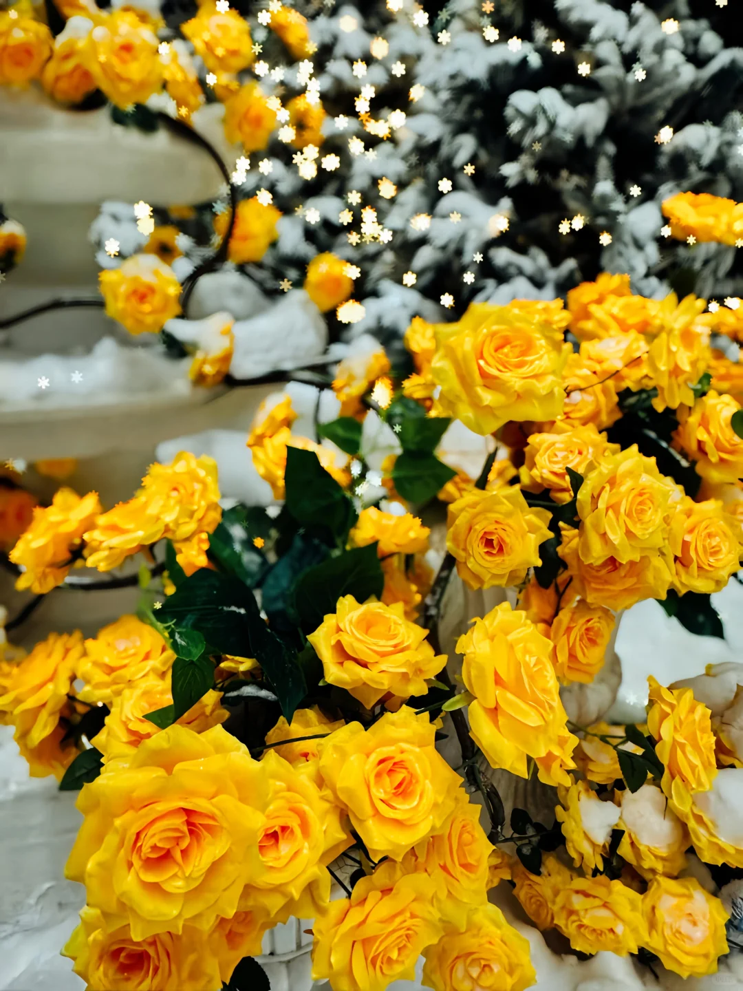 可能其实还是晚上更美丽[晚安R]哈尔滨 雪一落就美成了诗